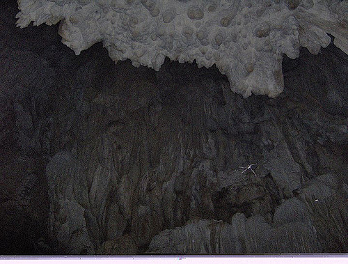 Caverna de Los Guacharos